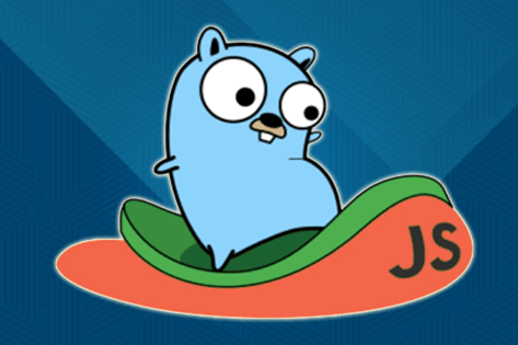 Golang Development Company Gurgaon