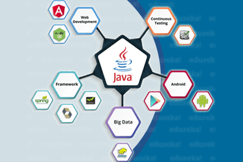 Java Development Company Gurgaon