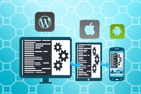 Web And Mobile Development Company Gurgaon